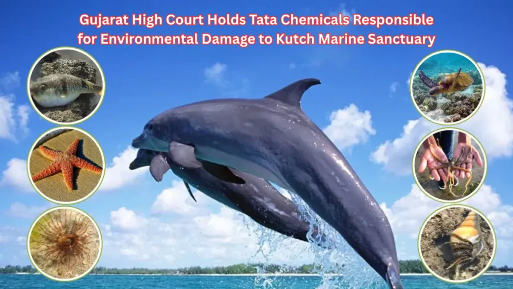 Kutch Marine Sanctuary